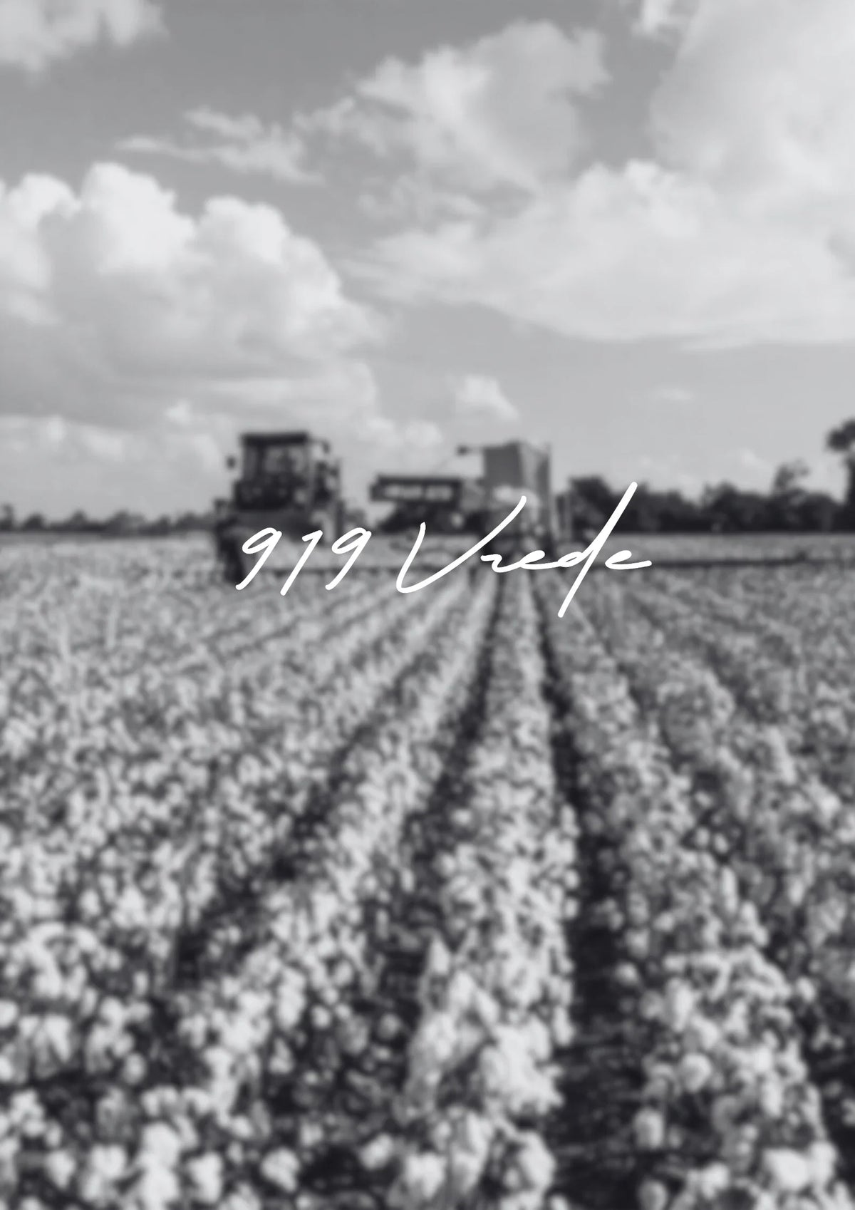 Fashion Starts with Fairness: Supporting African Farmers at the Source